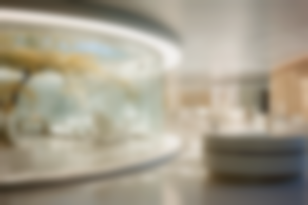 南京江宁佼佼者医疗美容诊所