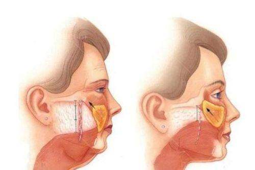 洪政槿医生预约挂号