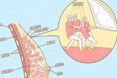 西安大爱医院医美科地址电话营业时间