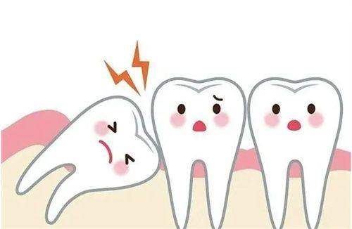 乳山小海豚口腔收费价格表/收费标准