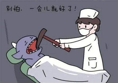 乳山小海豚口腔特色项目及技术优势