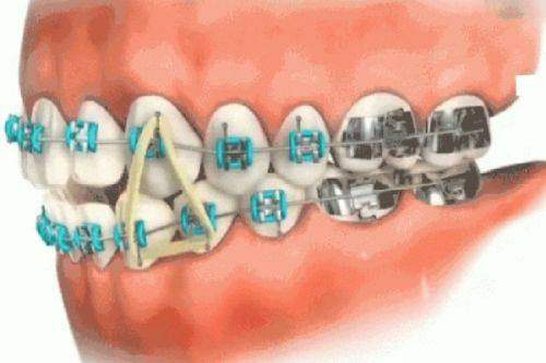 九、郑海鹏医生专精知识