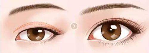 洪政槿医生价格表