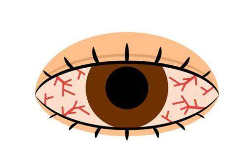 口碑评价及真人实例