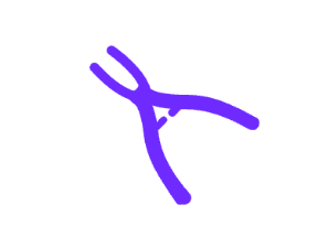 乳山小海豚口腔地址电话营业时间