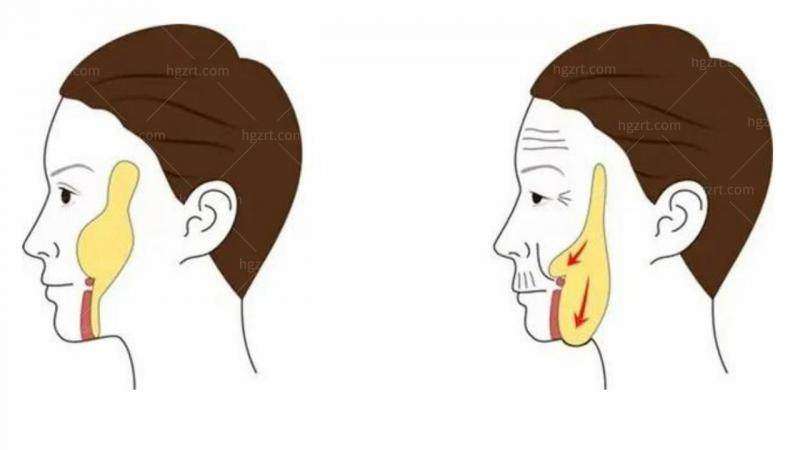 李小强医生擅长项目