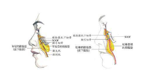 预约挂号