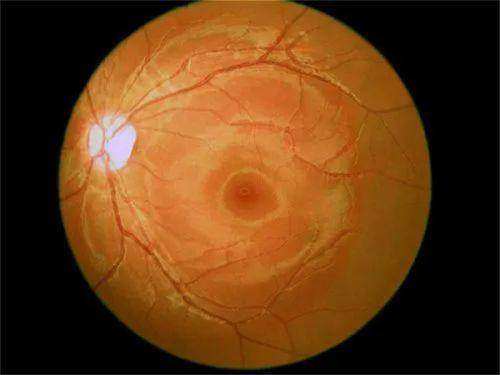 袁州爱瞳眼科门诊部