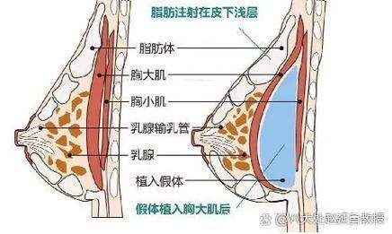 长沙谢磊天一医疗美容诊所详细的预约挂号方式及流程