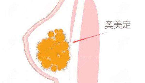 谭新东医生预约挂号