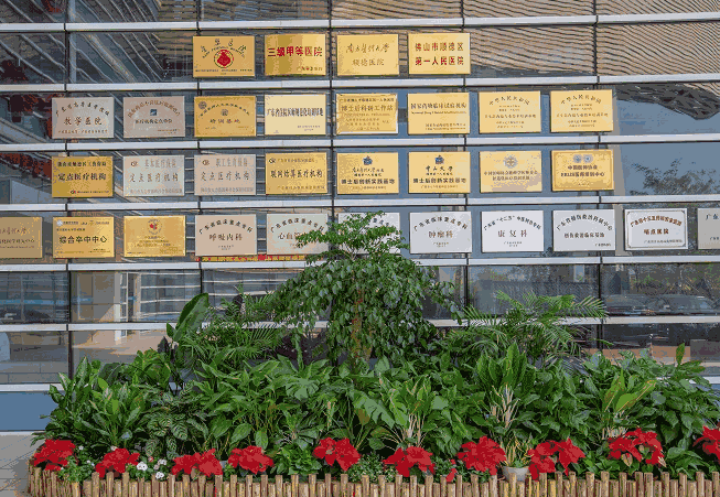 南方医科大学顺德医院眼科（佛山市顺德区第一人民医院眼科）