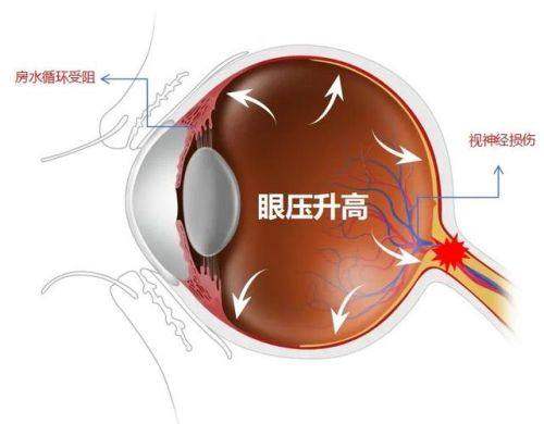 湖北荆州洛基眼科地址电话营业时间