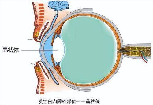 湖北荆州洛基眼科详细的预约挂号方式及流程