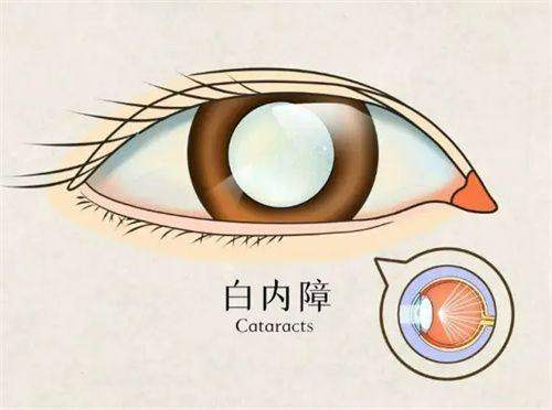 马鞍山十七冶医院详细的预约挂号方式及流程