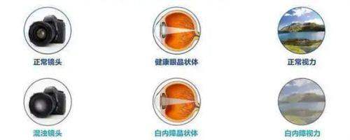 中南大学湘雅医院眼科地址电话营业时间