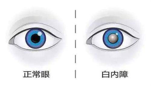 马鞍山十七冶医院真人口碑评价怎么样？