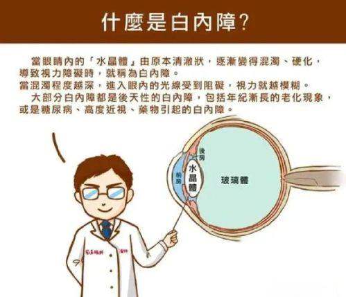 漳州华厦眼科医院真人口碑评价怎么样?
