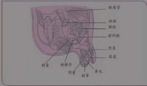 口碑评价及真人实例