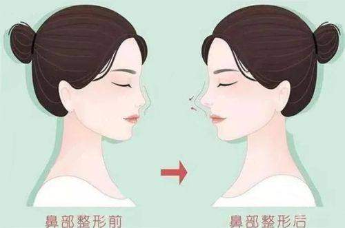 执医荣誉
